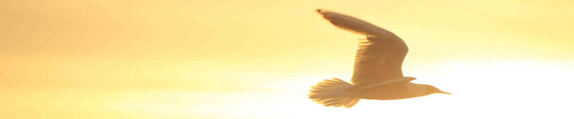 Quelle: Pixabay.com